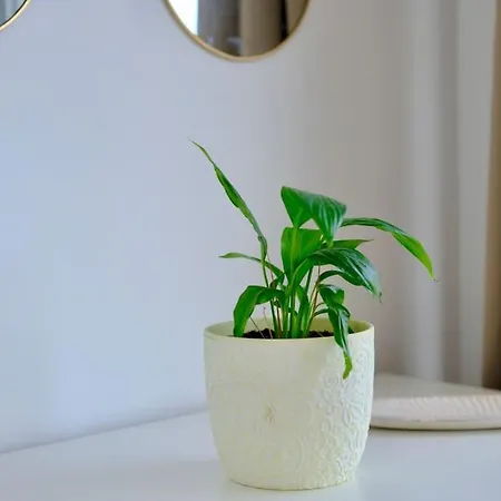 Hypercentre - Seine En Vue Apartament *