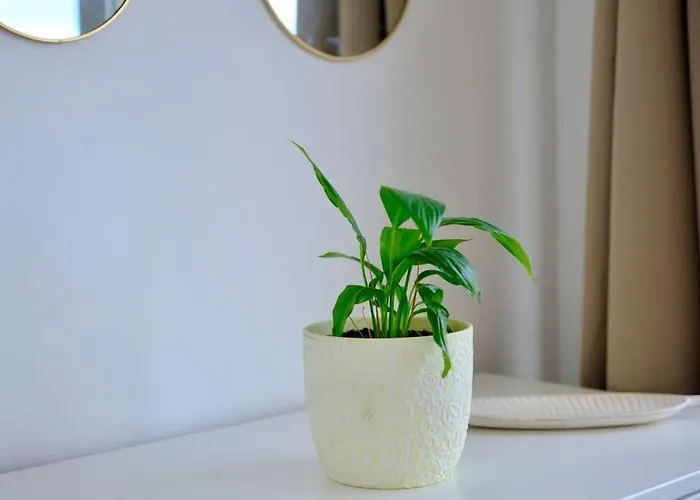 Hypercentre - Seine En Vue Appartement *